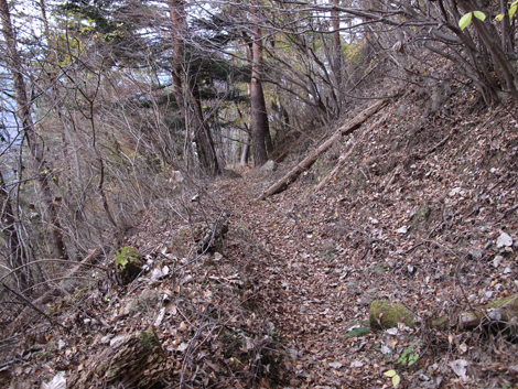 20181126hike (308)